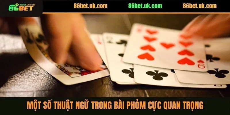 Luật Bài Phỏm Mới Nhất 2025 Mà Người Chơi Cần Nắm Rõ 4 Một số thuật ngữ trong bài phỏm cực quan trọng
